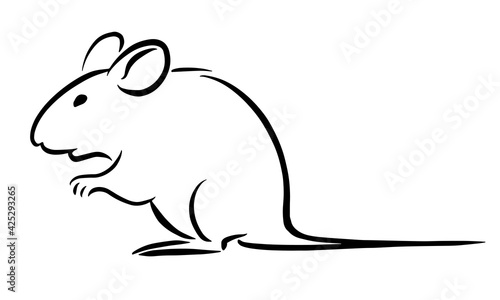 Rat sketch image on white background