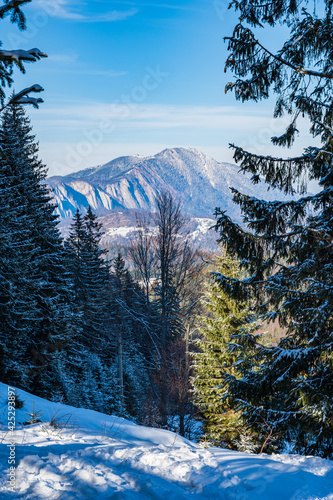 Obraz na płótnie Postavaru mountain near Brasov in Transylvania, Romania w salonie