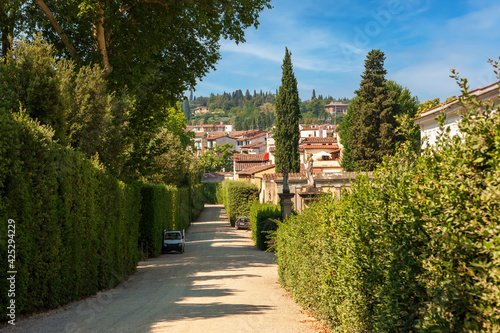 Fototapeta Naklejka Na Ścianę i Meble -  Boboli Garden In Florence. Tuscany, Italy