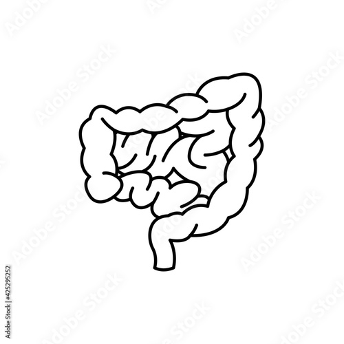 Human organ intestines color line icon. Pictogram for web page, mobile app