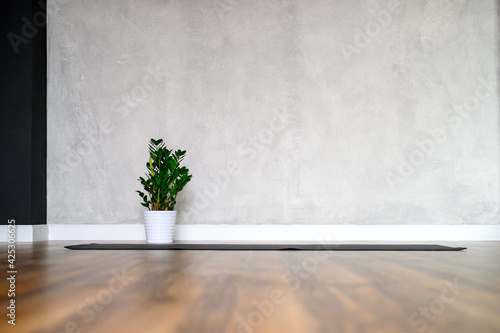 Fototapeta Naklejka Na Ścianę i Meble -  the interior of the studio room for yoga and stretching, a rubber mat and a plant zamioculcas on the wooden floor against the background of a gray concrete wall. minimal style. space for text