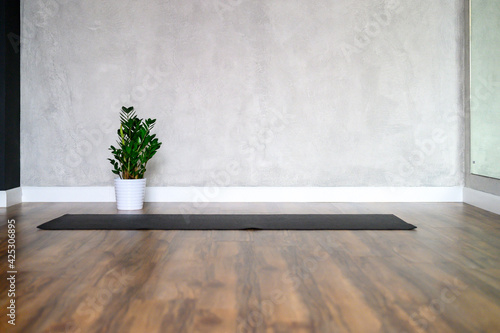 Fototapeta Naklejka Na Ścianę i Meble -  the interior of the studio room for yoga and stretching, a rubber mat and a plant zamioculcas on the wooden floor against the background of a gray concrete wall. minimal style. space for text