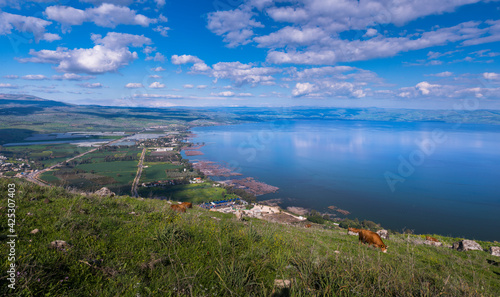 Cuadro en lienzo Beautiful view of the Sea of Galilee from the cliff of Mount Arbel National Park