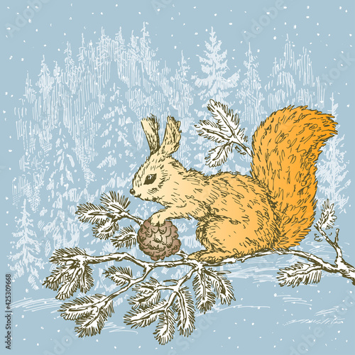 Vector image of drawn red squirrel with pine cone sitting on spruce branch against winter frozen forest