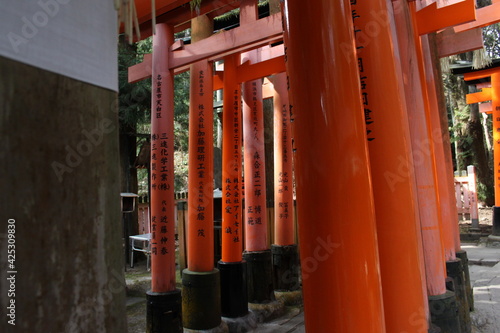 Kyoto Torii