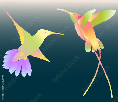 Vector image of two colorful flying hummingbirds