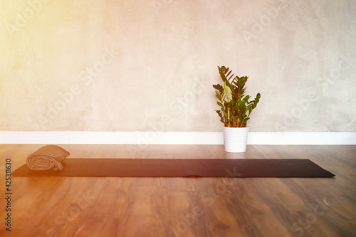 the interior of the studio room for yoga and stretching, a rubber mat and a plant zamioculcas on the wooden floor against the background of a gray concrete wall. minimal style. space for text. flare