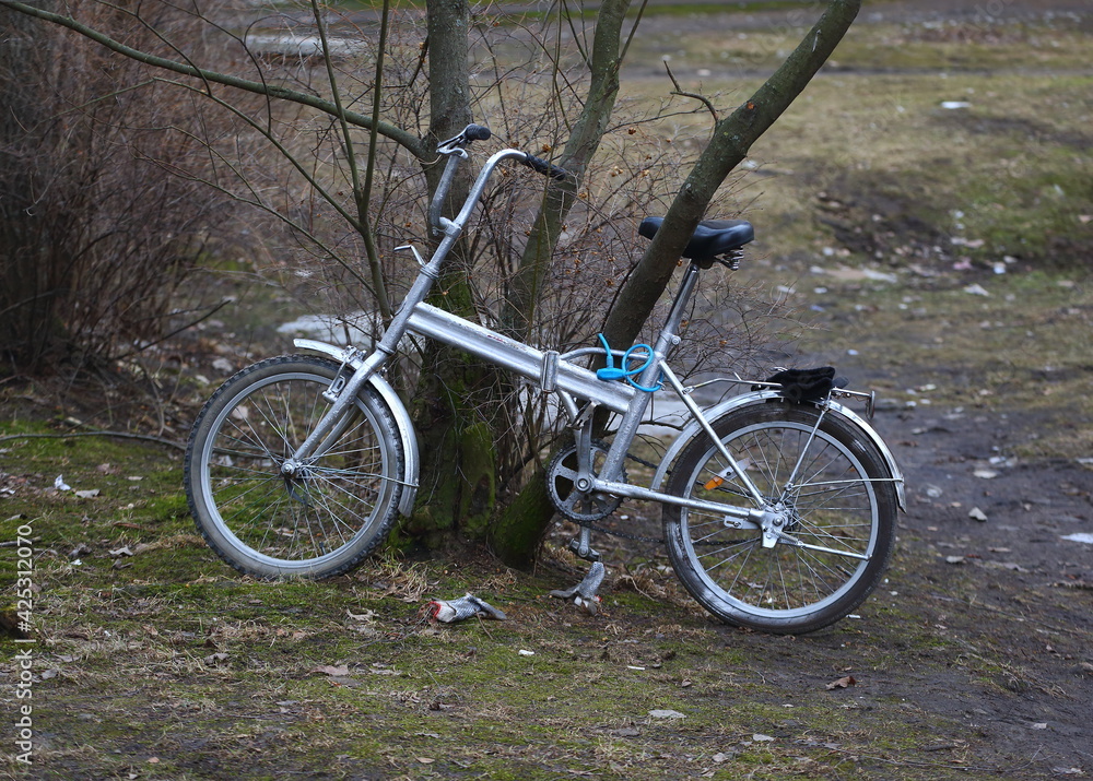 An old bicycle attached to a tree