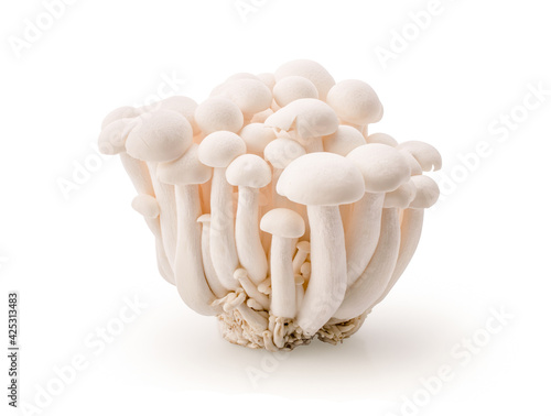 Enokitake mushrooms isolated on a white background