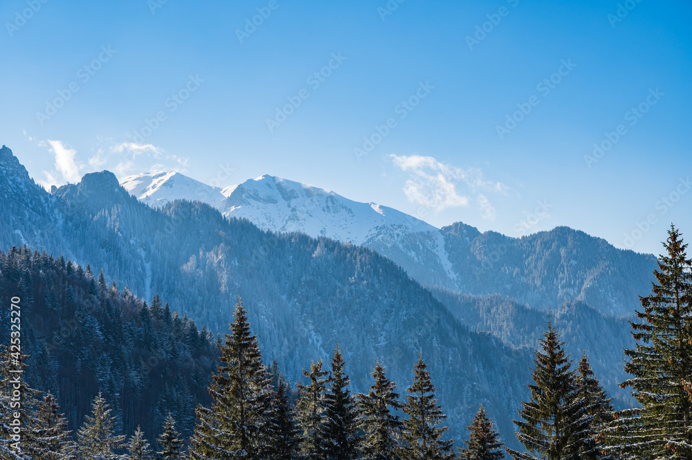 Romanian Carpathian mountains in winter