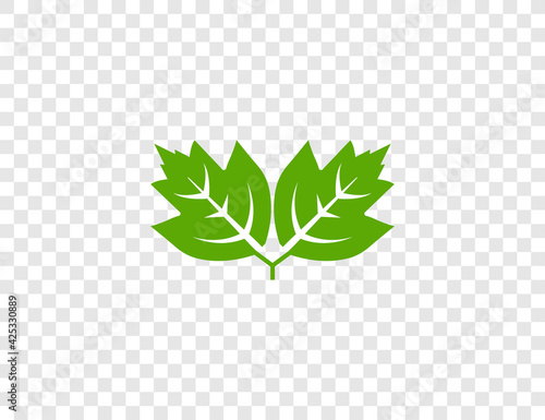 Green leaf, Eco icon on transparent background. Vector illustration.