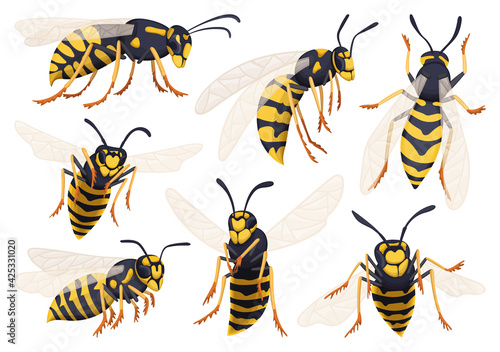 Fotografia Wasp vector cartoon icon set