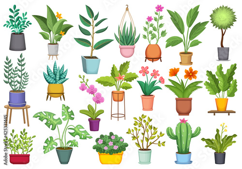 Flowerpot vector cartoon icon set . Collection vector illustration pot of plant on white background. Isolated cartoon icon set flowerpot for web design.