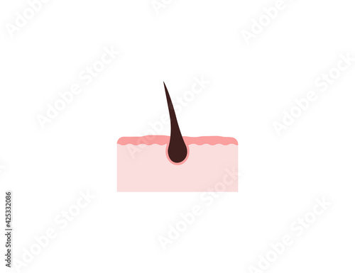 Hair, hair follicles, root icon. Vector illustration.