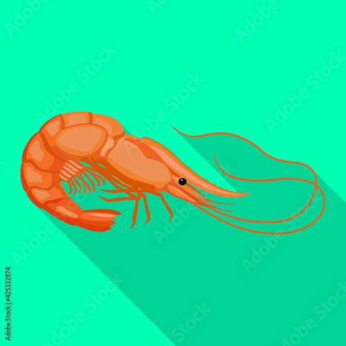 Shrimp vector icon.Flat vector icon isolated on white background shrimp .
