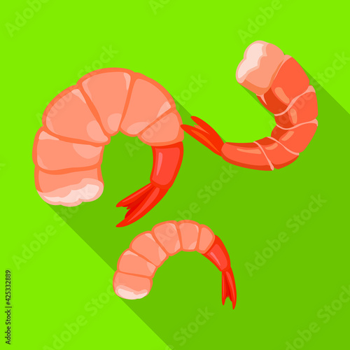 Shrimp vector icon.Flat vector icon isolated on white background shrimp .