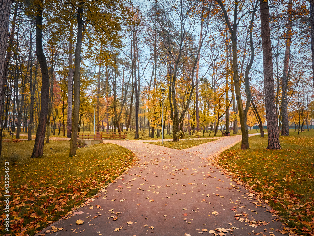 Fototapeta premium Alley in the autumn park with colorful trees.