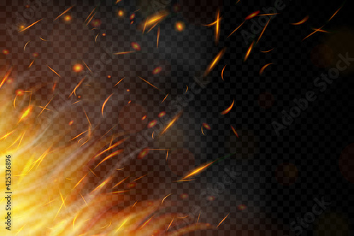 Fire. Fire sparks flying up on transparent background. Smoke and glowing particles on black. Realistic lighting sparks with bokeh effect for design. Vector illustration.