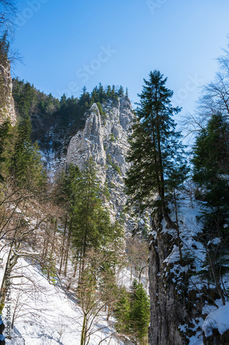 Obraz na płótnie Steep rocks in Piatra Craiului national park, Romania w salonie