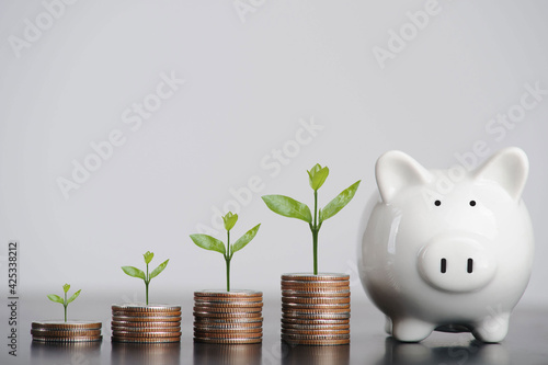 business finance and saving money investment, Money coin stack growing graph with piggy bank saving concept. plant growing up on coin. Balance savings and investment.