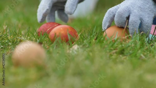 Wallpaper Mural Rolling Easter eggs in the green grass. Easter game with colored eggs Torontodigital.ca