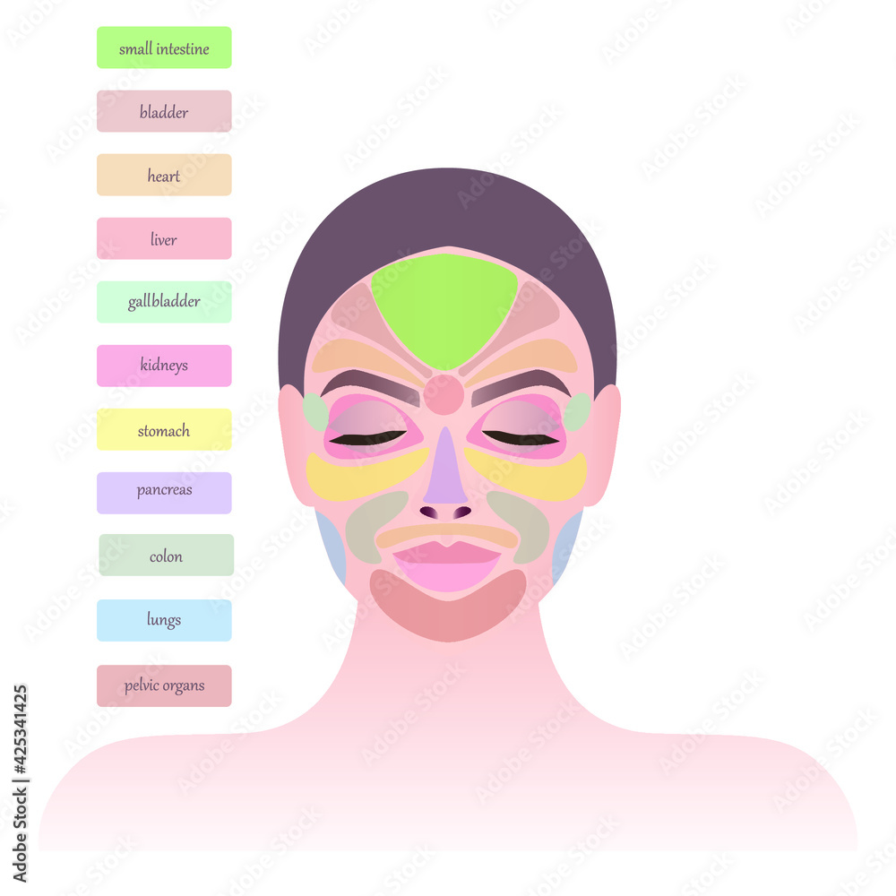 Fototapeta Skin health. Areas on the face and main biological points. The areas of the face are responsible for the internal organs. Signs of various diseases on the face. Close-up of the girl's face.