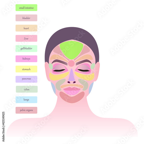 Skin health. Areas on the face and main biological points. The areas of the face are responsible for the internal organs. Signs of various diseases on the face. Close-up of the girl's face. 