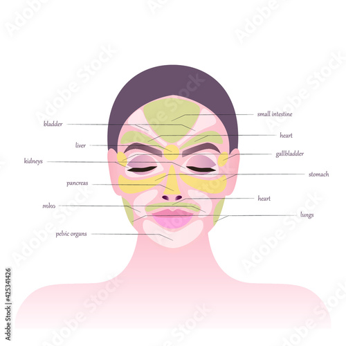 Skin health. Areas on the face and main biological points. The areas of the face are responsible for the internal organs. Signs of various diseases on the face. Close-up of the girl's face. 