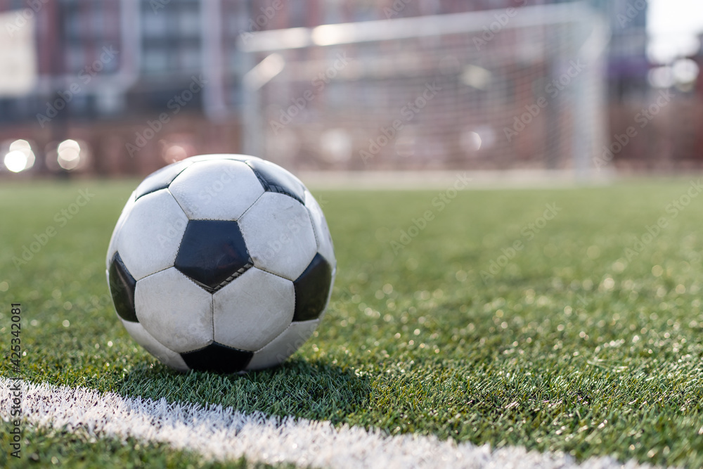 Obraz premium soccer on grass and stadium. ball in the stadium.