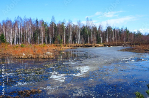 Spring forest lake on a bright day.