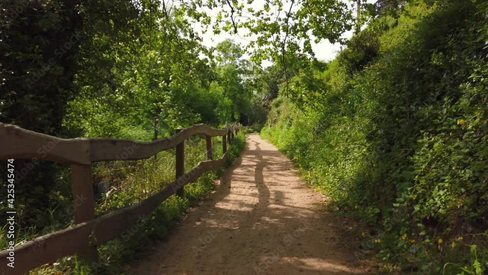 Amazing and relaxing path in the forest. hiking trail Surrounded by trees Amazing and relaxing path in the forest. hiking trail Surrounded by trees
