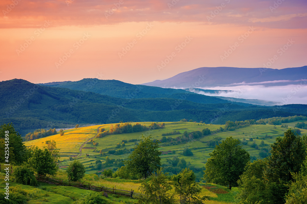 mountainous rural landscape at dawn. trees and agricultural fields on hills rolling in to the distant misty valley. ridge beneath a colorful sky in morning light
