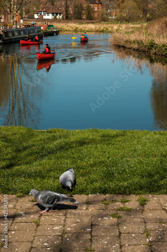 Narrow boats on Godalming canal photo