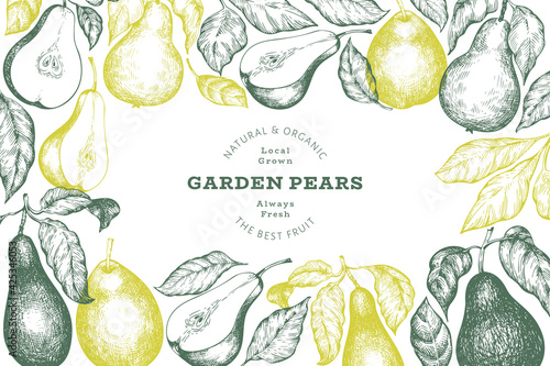 Pear design template. Hand drawn vector garden fruit illustration. Engraved style garden retro botanical banner. photo