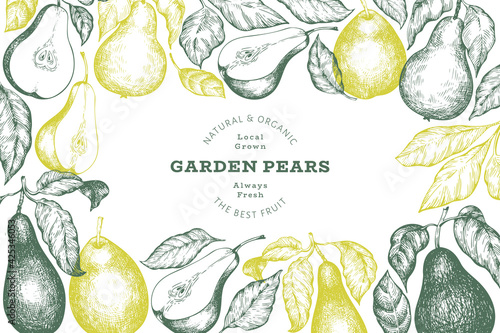 Pear design template. Hand drawn vector garden fruit illustration. Engraved style garden retro botanical banner.