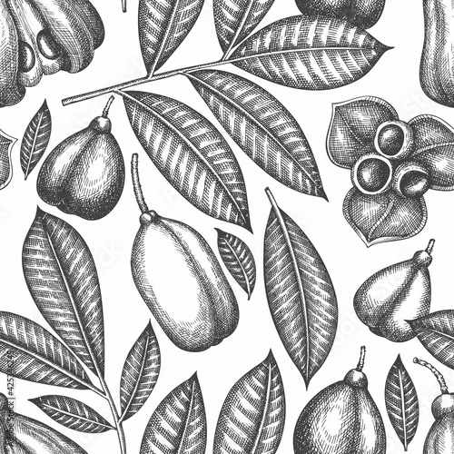Hand drawn sketch style ackee seamless pattern. Organic fresh food vector illustration. Retro exotic fruit background.