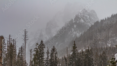 Tatra mountain peaks in winter fog