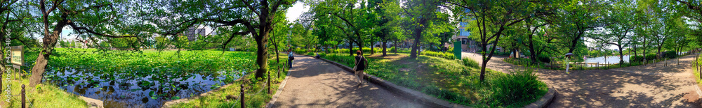 TOKYO, JAPAN - MAY 19, 2016: Shinobazuno Pond with tourists on a sunny spring day - Panoramic view