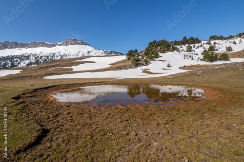 Reflections of the Montagnette (Vercors) in a small ephemeral pond