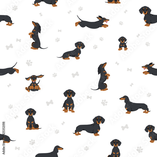 Dachshund short haired seamless. Different poses, coat colors set.