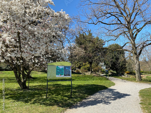 Conservatory and Botanical Garden of the City of Geneva (Conservatoire et Jardin Botaniques de la Ville de Genève) Konservatorium und Botanischer Garten Chambésy, Genf - Switzerland (Suisse) photo