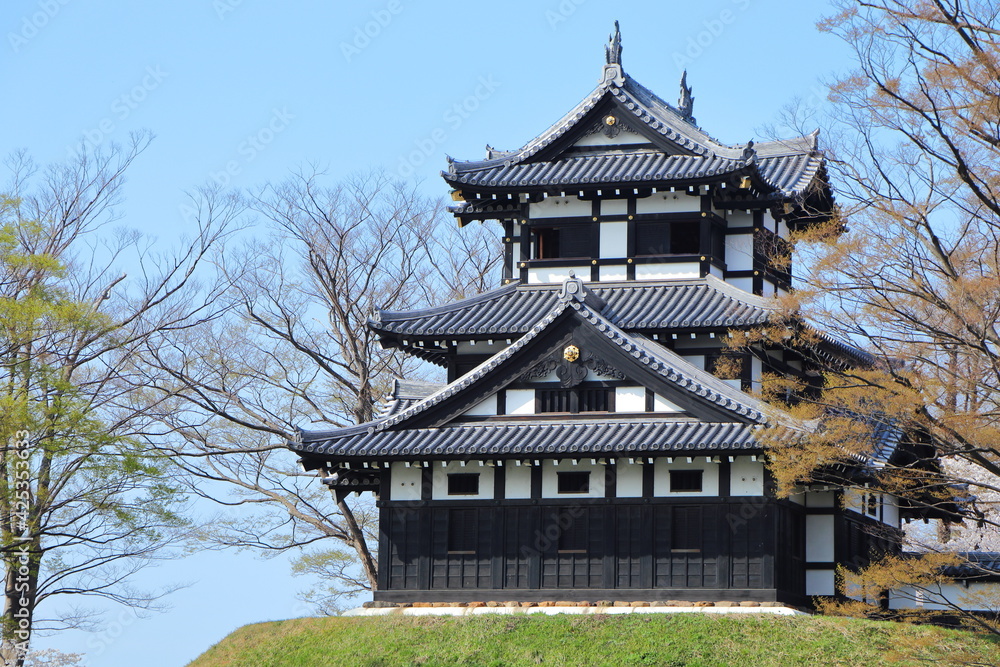 Fototapeta premium 高田城址公園の高田城