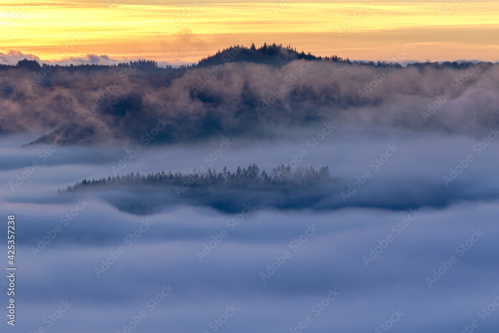 Fototapeta premium Mosel, Moselschleife