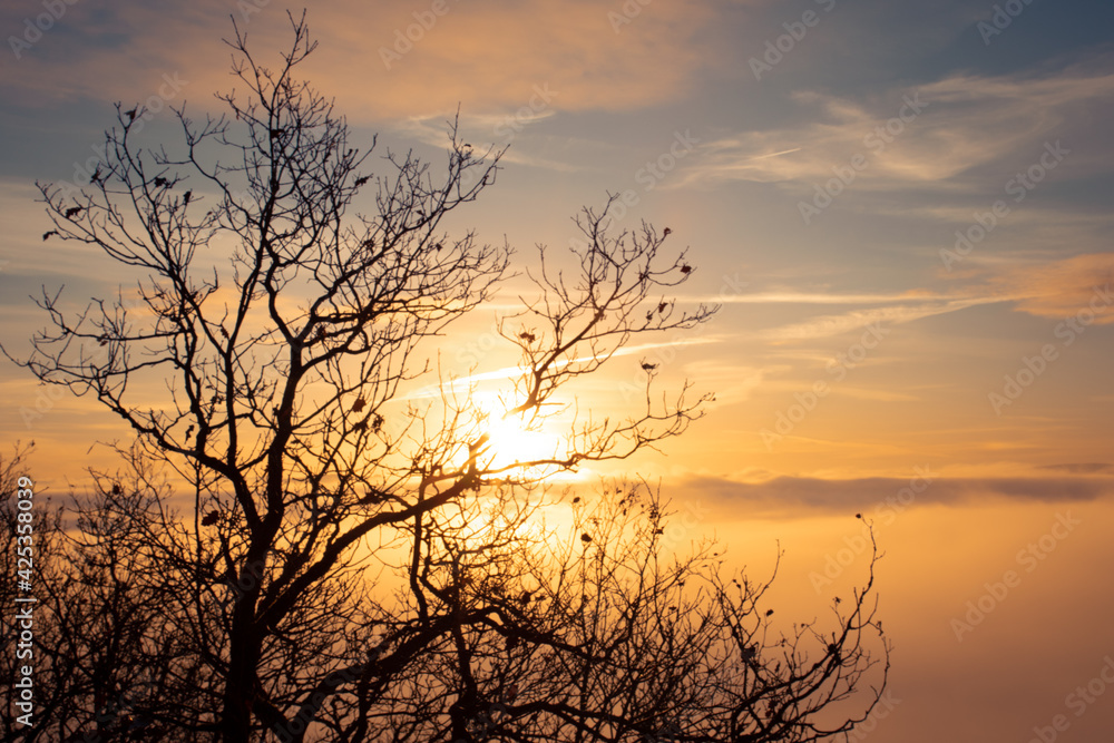 Moselschleife, Über den Wolken, Nebel Moselschleife, Über den Wolken, Nebel