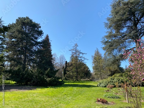 Conservatory and Botanical Garden of the City of Geneva (Conservatoire et Jardin Botaniques de la Ville de Genève) Konservatorium und Botanischer Garten Chambésy, Genf - Switzerland (Suisse) photo