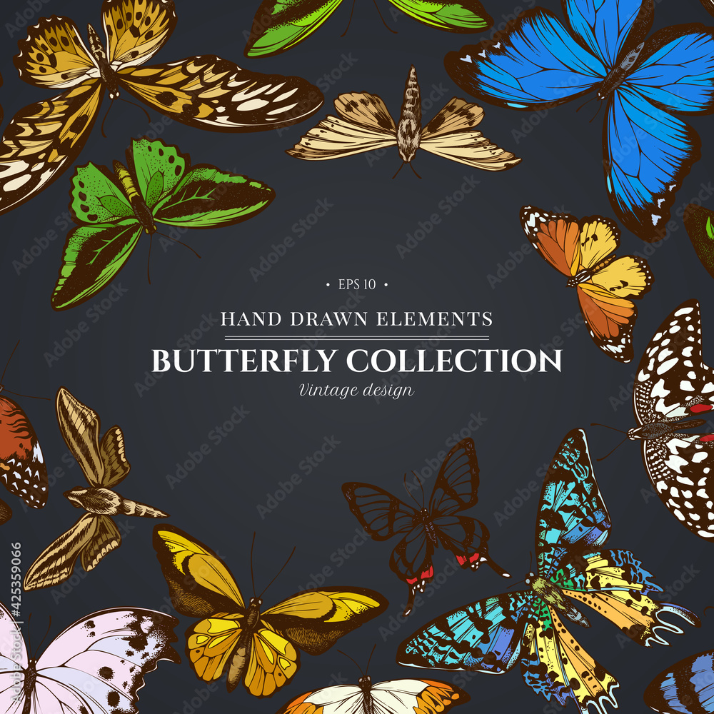 Design on dark background with great orange-tip, emerald swallowtail, plain tiger, rajah brooke s birdwing, papilio torquatus, swallowtail butterfly