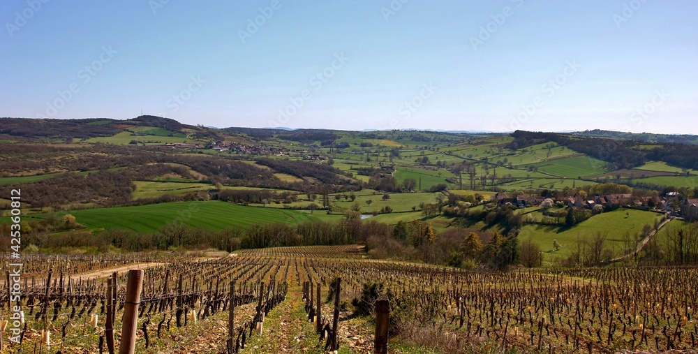 Panorama de la Côte Chalonnaise entre vigne et bocage.
