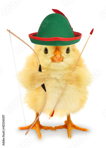 Cute chick Robin Hood with bow and arrow funny conceptual photo