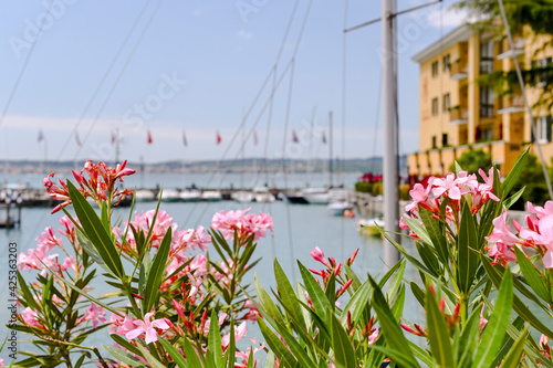 Castle on the island of sirmione in italy. Travel in Europe. Lake and country architecture photo