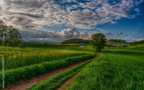 road to the field beautiful nature